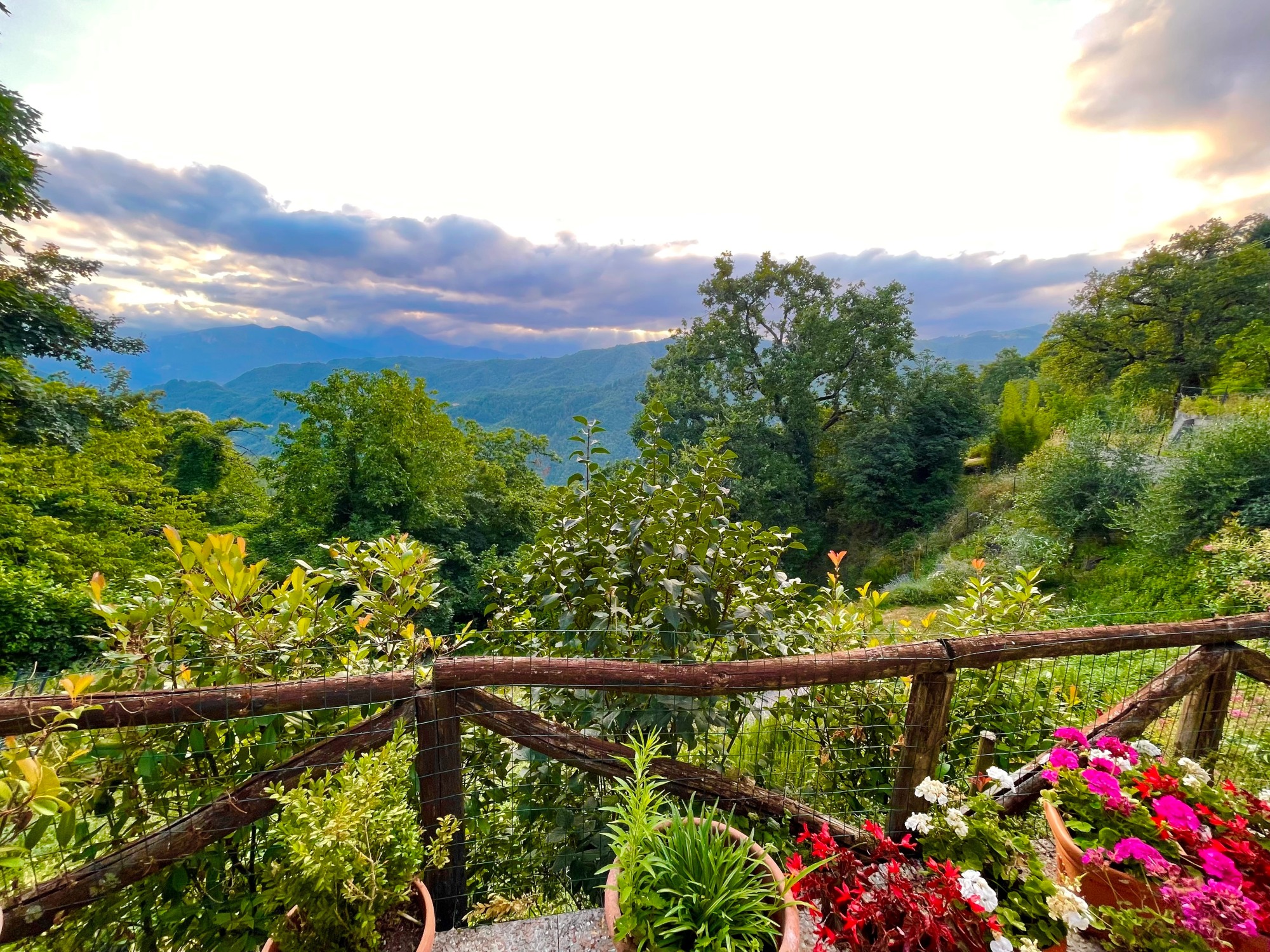 Terrace Casa Omega (3)