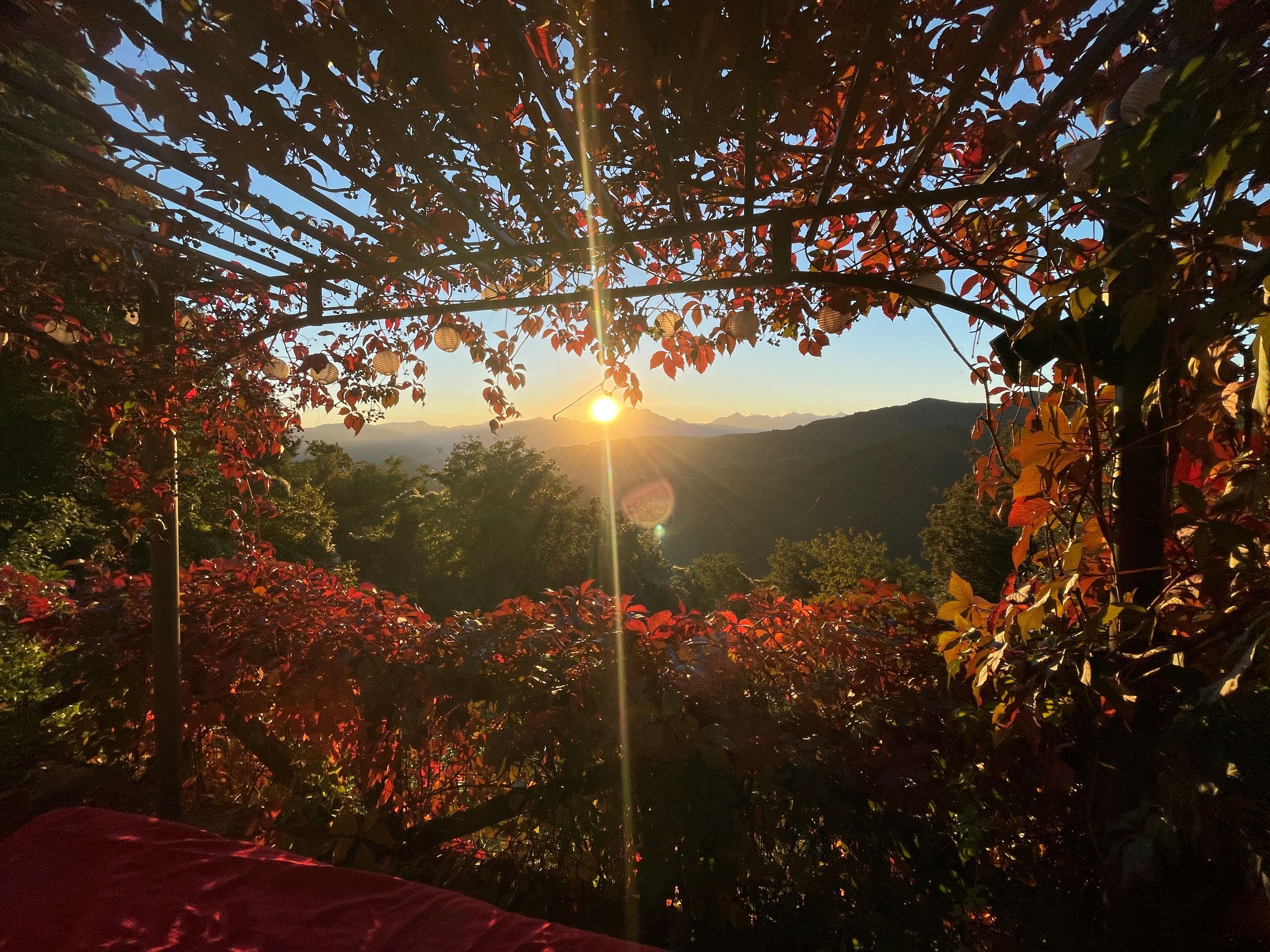 View from terrase