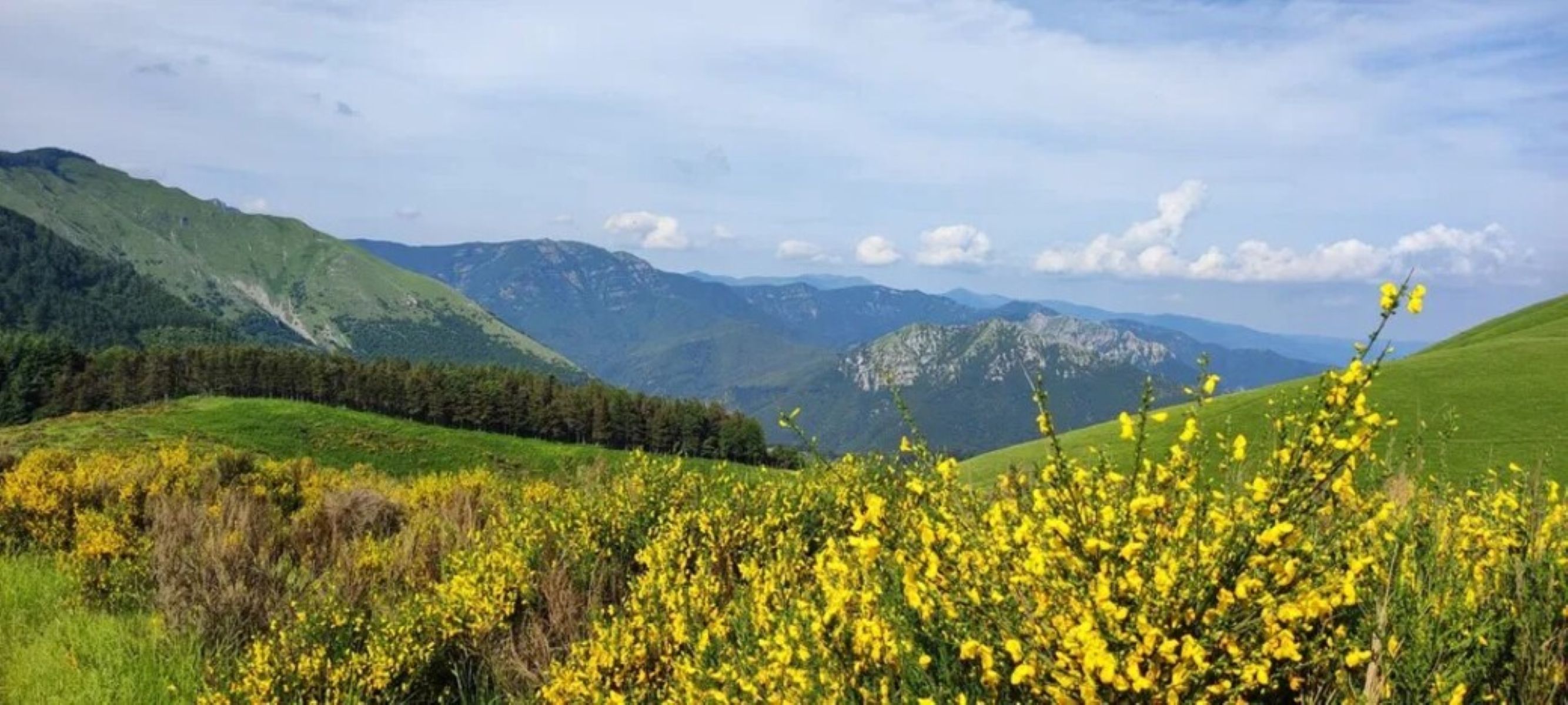 MonteCoronato-pxlneu