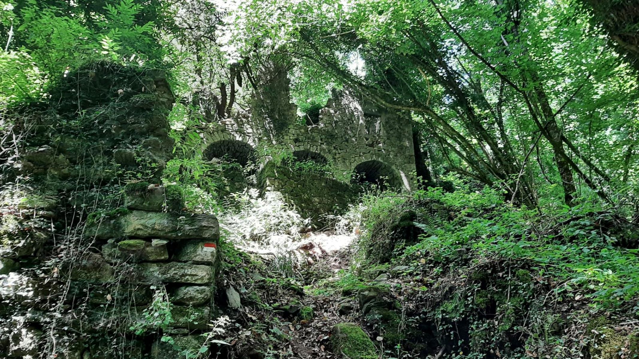 Mühle_Montefegasi